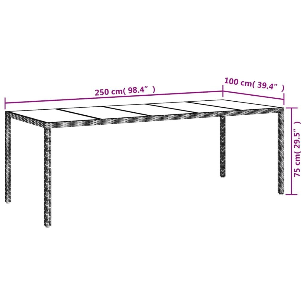 vidaXL dārza galds, 250x100x75cm, PE rotangpalma, rūdīts stikls, balts цена и информация | Dārza galdi | 220.lv