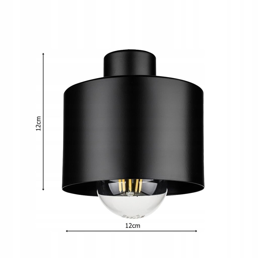 Ledlux griestu lampa cena un informācija | Griestu lampas | 220.lv