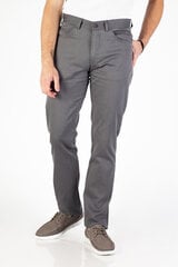 Мужские брюки BLK JEANS 83941000132206-31/34, серые цена и информация | Мужские брюки | 220.lv