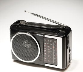 Tiross TS-460 radio цена и информация | Радиоприемники и будильники | 220.lv