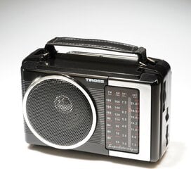Tiross TS-460 radio цена и информация | Радиоприемники и будильники | 220.lv