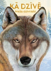 Kā dzīvē. Mežā dzīvnieki цена и информация | Книги для подростков и молодежи | 220.lv