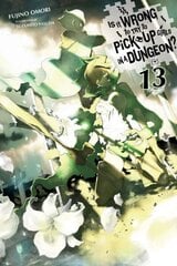 Is It Wrong to Try to Pick Up Girls in a Dungeon?, Vol. 13 (light novel) cena un informācija | Fantāzija, fantastikas grāmatas | 220.lv