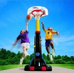 Баскетбольная стойка Easy Store Basketball Set цена и информация | Баскетбольные стойки | 220.lv