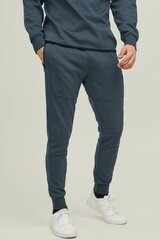 Спортивные штаны Jack&Jones цена и информация | Мужская спортивная одежда | 220.lv