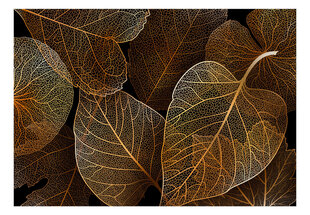 Фотообои с инструментом и клеем - Золотые листья на черном, 400x280 см цена и информация | Фотообои | 220.lv