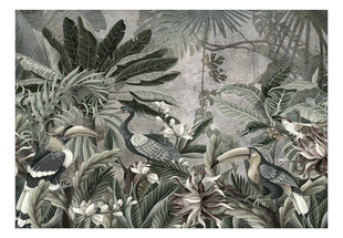 Фотообои с инструментом и клеем - Птицы в джунглях, 400x280 см цена и информация | Фотообои | 220.lv