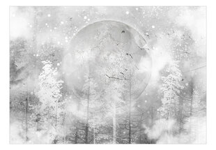 Fototapetes ar instrumentu un tapešu līmi - Mēness un ziemas daba, 400x280 cm cena un informācija | Fototapetes | 220.lv