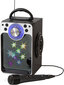Karaoke aparāts bērniem Liniex Disco Sing Along cena un informācija | Attīstošās rotaļlietas | 220.lv