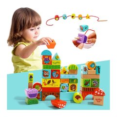 Tooky Toy koka klucīšu komplekts, meža motīvs cena un informācija | Attīstošās rotaļlietas | 220.lv