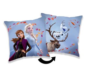 Frozen 2 Wind 02 цена и информация | Подушки | 220.lv