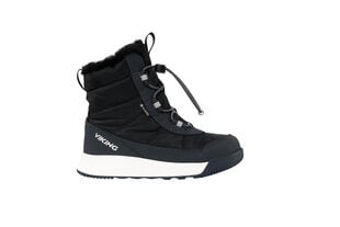 Детские зимние сапоги Viking AERY WARM GTX SL, чёрно-тёмно-серый цвет цена и информация | Детская зимняя обувь | 220.lv