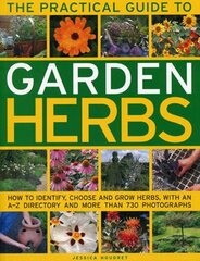 Practical Guide to Garden Herbs: How to Identify, Choose and Grow Herbs with an A-Z Directory and More Than 730 Photographs cena un informācija | Grāmatas par dārzkopību | 220.lv