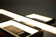 Led-lux griestu lampa 105 x 60 cm melna cena un informācija | Griestu lampas | 220.lv