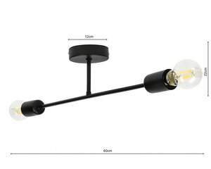 Потолочный светильник, белый цена и информация | Потолочный светильник | 220.lv