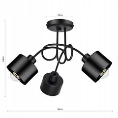 Piekarināmā griestu lampa Ledlux, melna цена и информация | Настенный/подвесной светильник Eye Spot 11 BL, чёрный | 220.lv