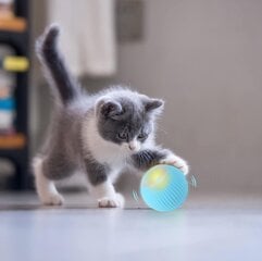 Интерактивный умный мячик для кошек Smart Cat Ball цена и информация | Игрушки для кошек | 220.lv