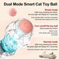 Interaktīva viedā bumba kaķiem Smart Cat Ball цена и информация | Rotaļlietas kaķiem | 220.lv