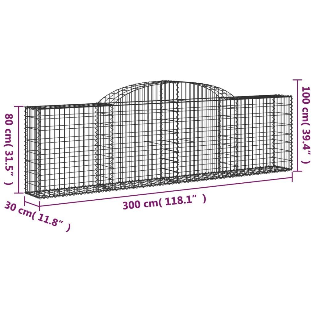 vidaXL arkveida gabiona grozi, 2 gb., 300x30x80/100cm, cinkota dzelzs cena un informācija | Ziedu statīvi, puķu podu turētāji | 220.lv