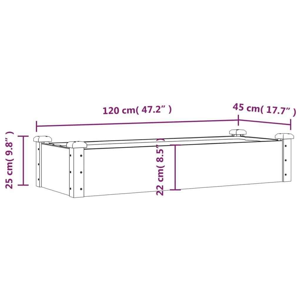 vidaXL augstā puķu kaste ar ieliktni, 120x45x25 cm, egles masīvkoks cena un informācija | Balkona kastes | 220.lv