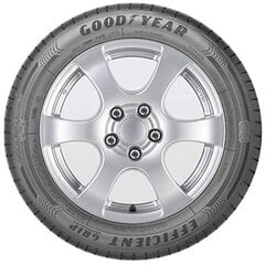 Шины для легковых автомобилей Goodyear EFFICIENTGRIP PERFORMANCE 205/55HR16 цена и информация | Летняя резина | 220.lv