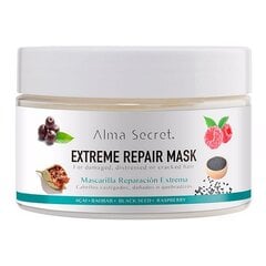 Matu maska ​Alma Secret Extreme Repair, 250 ml цена и информация | Средства для укрепления волос | 220.lv