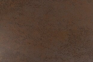 Стол обеденный Bendt Irwine, 200-240x100 см, коричневый цвет цена и информация | Кухонные и обеденные столы | 220.lv