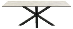 Обеденный стол Bendt Heaven, 200x100 см, серый цвет цена и информация | Кухонные и обеденные столы | 220.lv