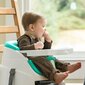 Bright Starts 2-in-1 bērnu krēsliņa sēdeklis INGENUITY cena un informācija | Barošanas krēsli | 220.lv