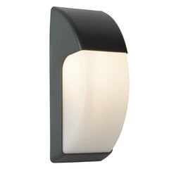 Searchlight наружный настенный светильник, бра Coastal IP44 3231GY цена и информация | Настенные светильники | 220.lv