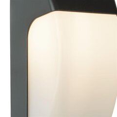 Searchlight наружный настенный светильник, бра Coastal IP44 3231GY цена и информация | Настенные светильники | 220.lv