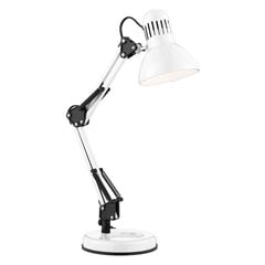 Searchlight настольная лампа Desk Partners Hobby, 1xE27x60W, EU2429WH цена и информация | Настольные лампы | 220.lv