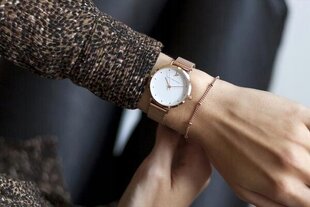 Sieviešu pulkstenis Emily Westwood Mini EAK-3214R cena un informācija | Sieviešu pulksteņi | 220.lv