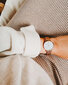 Sieviešu pulkstenis Emily Westwood Mini EAK-3214R cena un informācija | Sieviešu pulksteņi | 220.lv