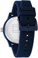 Vīriešu pulkstenis Tommy Hilfiger 1791803 cena un informācija | Vīriešu pulksteņi | 220.lv
