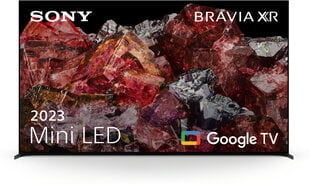 Sony XR65X95LPAEP cena un informācija | Sony Televizori un piederumi | 220.lv