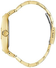 Guess Феникс GW0456G2 цена и информация | Женские часы | 220.lv