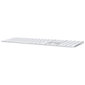 Apple Magic keyboard MQ052S/A (SWE) cena un informācija | Klaviatūras | 220.lv