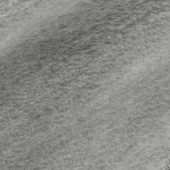 Gultas pārklājs Silk, 220x240 cm cena un informācija | Gultas pārklāji, pledi | 220.lv