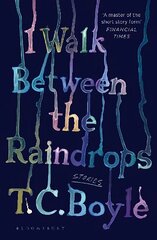 I Walk Between the Raindrops цена и информация | Фантастика, фэнтези | 220.lv