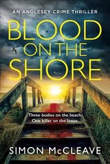 Blood on the Shore цена и информация | Фантастика, фэнтези | 220.lv