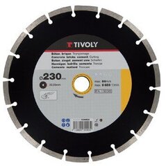 Dimanta disks Tivoly segments 230x22,2mm cena un informācija | Rokas instrumenti | 220.lv