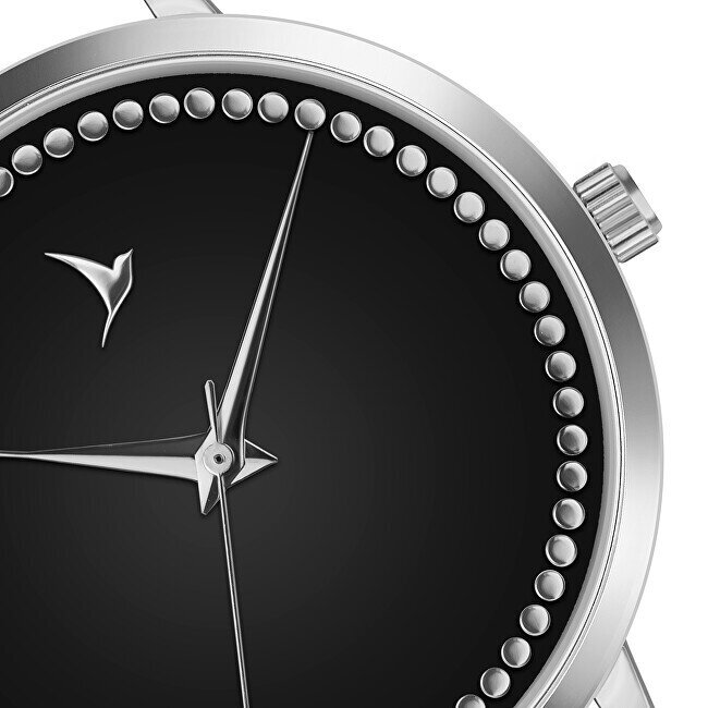 Pulkstenis sievietēm Emily Westwood EEM-2514 cena un informācija | Sieviešu pulksteņi | 220.lv