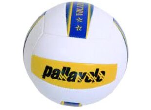 Волейбольный мяч 21см цена и информация | Волейбольные мячи | 220.lv
