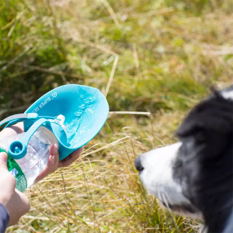 Pārnēsājama mājdzīvnieku ūdens pudeles lapa 580ml Irodori Vet cena un informācija | Bļodas, kastes pārtikas | 220.lv