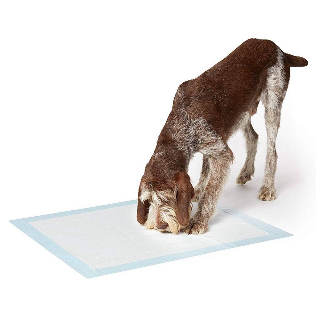 Higiēnas paklājiņi dzīvniekiem ar fekāliju maisiņi XL, 60x90 cm, 100 gab. cena un informācija | Piederumi suņu trenēšanai | 220.lv