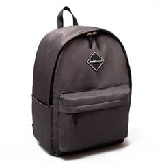 Рюкзак ErichKrause® EasyLine Style 19L Grey цена и информация | Спортивные сумки и рюкзаки | 220.lv