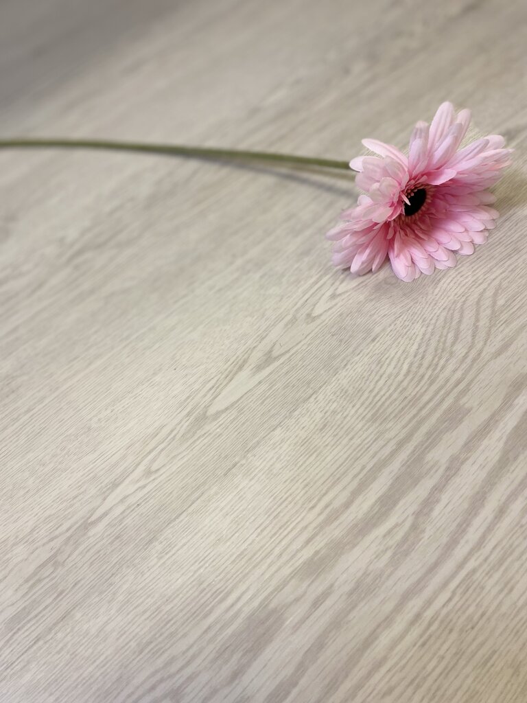 Järnvik Vinyl Flooring - vinila parkets, soli absorbējošs, SPC, Vit Sund, 5,5 mm, 2,79​​​​​​​ m² cena un informācija | Lamināts | 220.lv