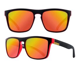 Поляризованные солнцезащитные очки для мужчин S13 цена и информация | Солнцезащитные очки для мужчин | 220.lv