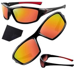 Polarizētas saulesbrilles vīriešiem F31 цена и информация | Солнцезащитные очки для мужчин | 220.lv
